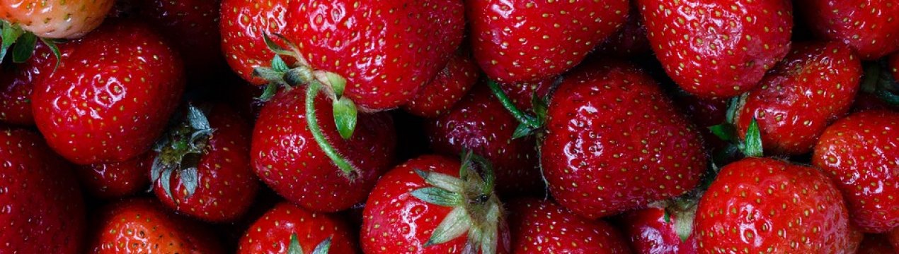 Шість нових італійських сортів суниці садової з'явилися в Україні