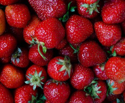 Шість нових італійських сортів суниці садової з'явилися в Україні