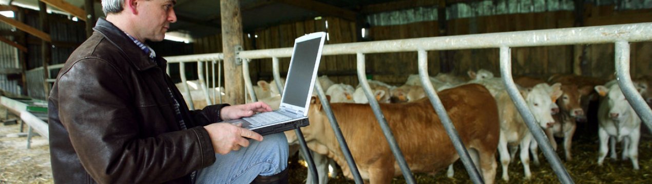 Британське додаток для оцифровки світового тваринництва