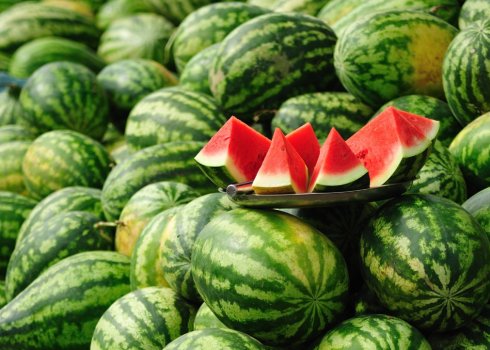 Різновиди хвороб і шкідників арбузов та їх лікування