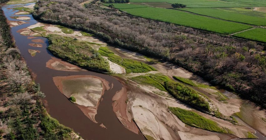 Південні регіони Росії попереджають про посушливе літо