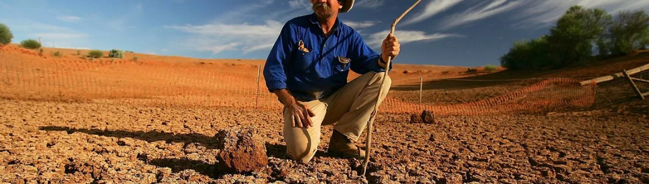 Південні регіони Росії попереджають про посушливе літо