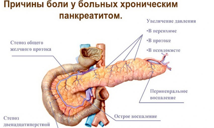 Спаржа при панкреатите