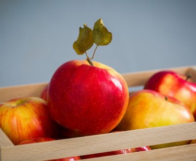 Яблука місцевого вирощування подорожчали в Україні
