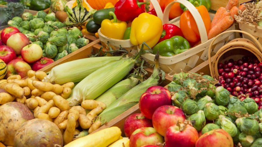 Беларусь открывает свой рынок для сельхозпродукции Филиппин Беларусь открывает свой рынок для сельхозпродукции Филиппин