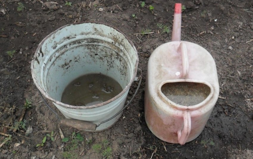 Гнойовий розчин для удобреня Гнойовий розчин для удобреня