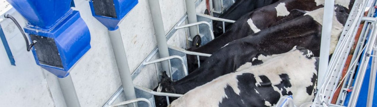 Британський Fullwood має намір придбати голландську дилерську мережу