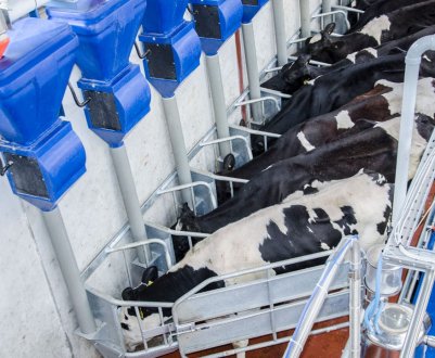 Британський Fullwood має намір придбати голландську дилерську мережу