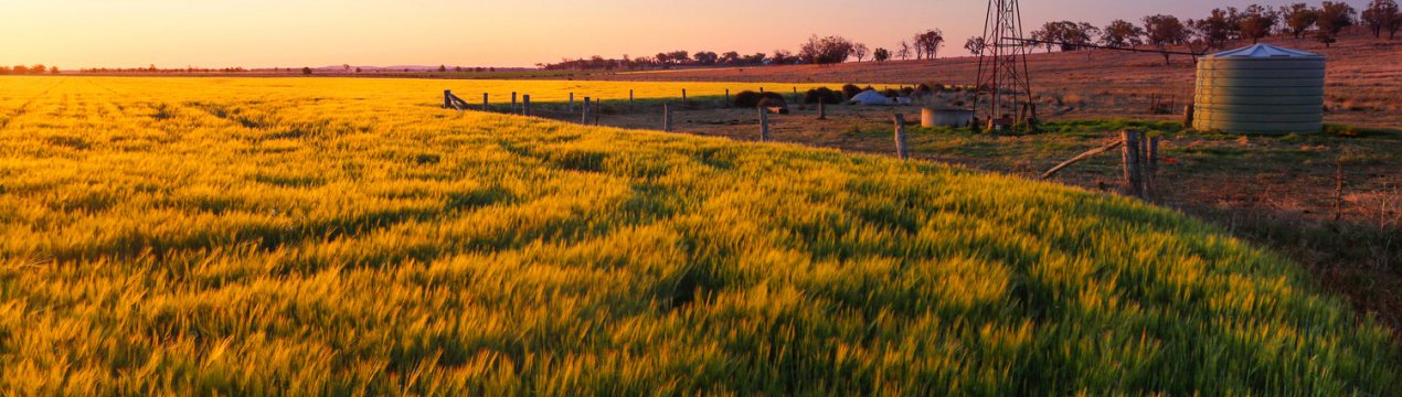 В Австралії фермерам будуть платити за поглинання викидів вуглецю