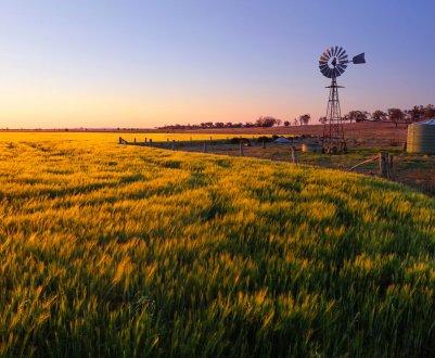 В Австралії фермерам будуть платити за поглинання викидів вуглецю