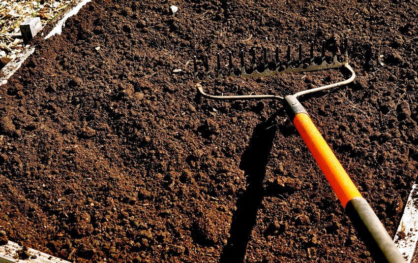 Підготовка ґрунту для посадки Підготовка ґрунту для посадки