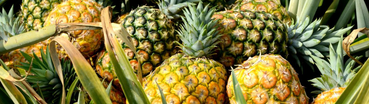 Російські еко-модники перевзуються в кросівки з ананасових листя