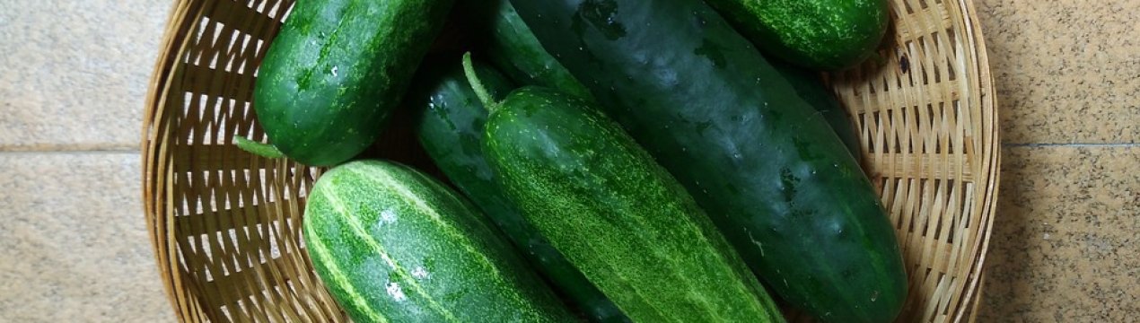 Українські тепличні огірки стали ще дешевше