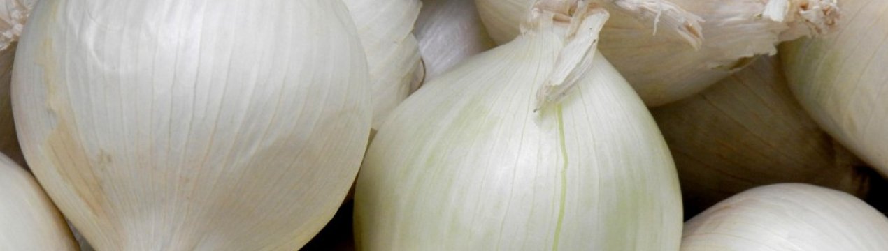 Особливості вирощування та догляду за цибулею Стардаст