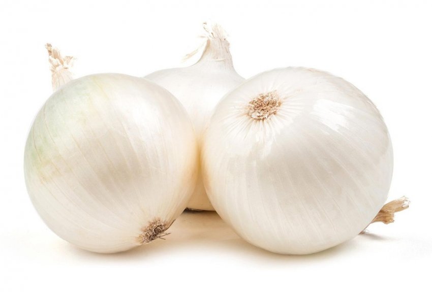 Цибулю сорту Стардаст