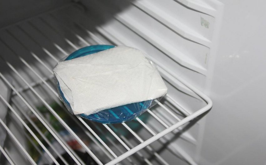 Загартовування насіння цибулі