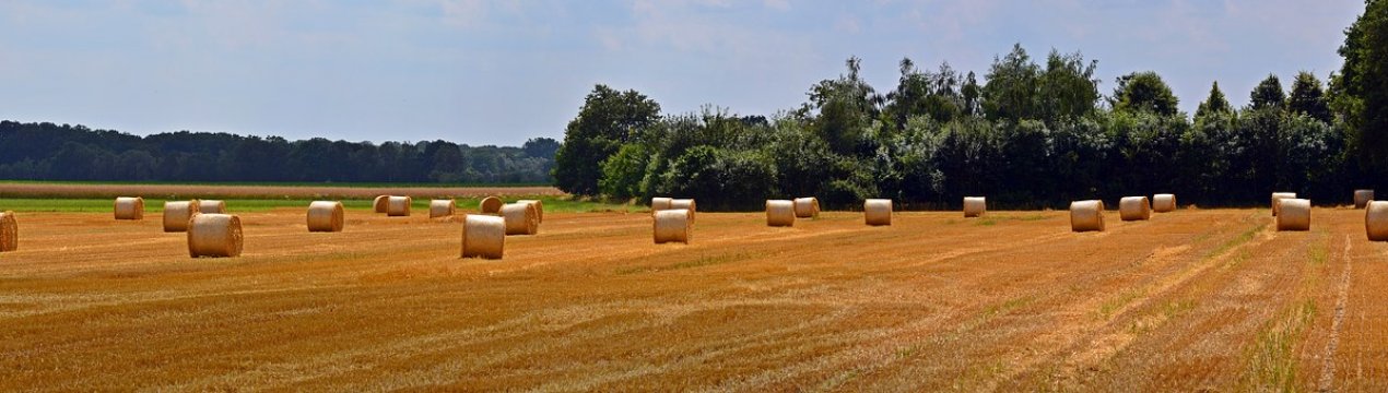 Паливні брикети з соломи виробляють в Черкаській області