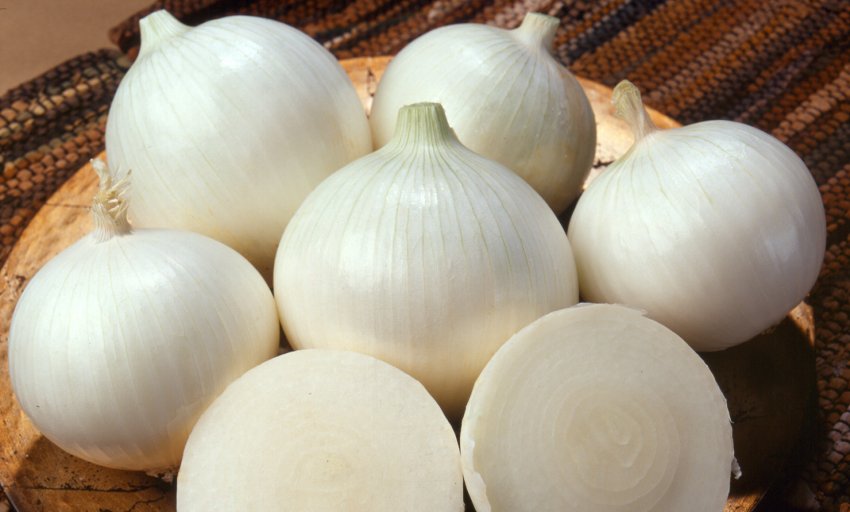 Цибулю Стардаст