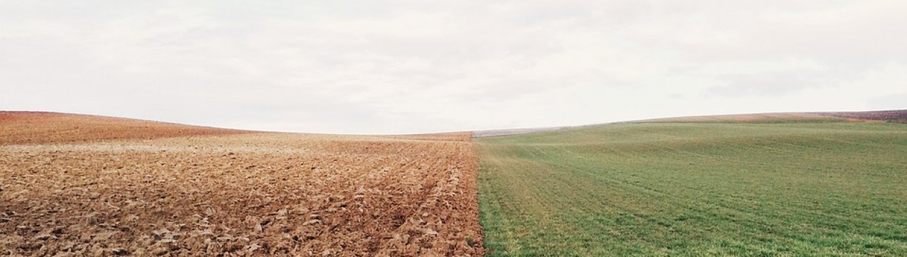 Вартість оренди землі в Україні може зрости в 5 разів