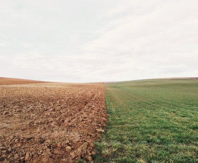 Вартість оренди землі в Україні може зрости в 5 разів