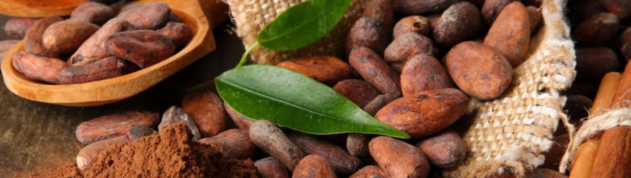 У Кот-Д'івуарі з-за погоди неясні перспективи врожаю какао