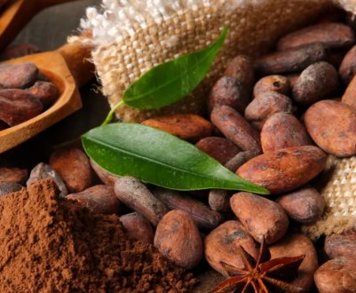 У Кот-Д'івуарі з-за погоди неясні перспективи врожаю какао