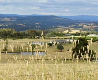 Як в Австралії бюрократи довели фермера