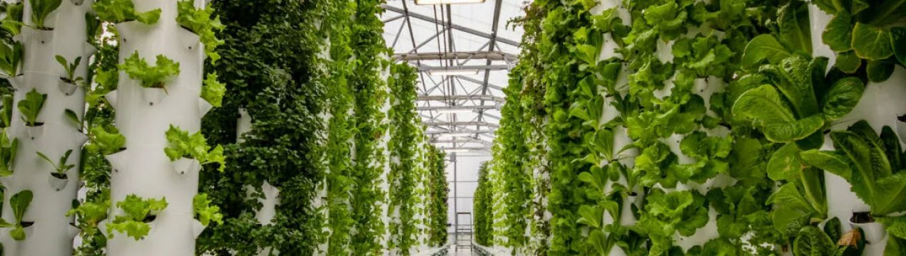 Британськими вченими розроблені нові «контейнерні ферми»