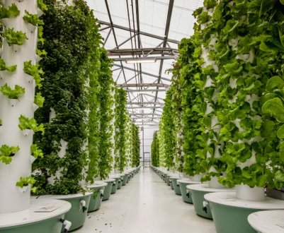 Британськими вченими розроблені нові «контейнерні ферми»