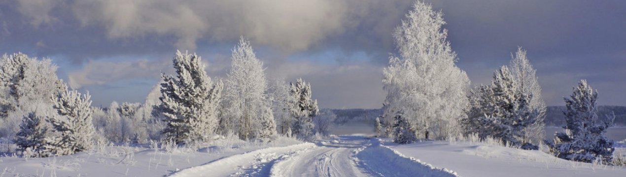 Посадковий календар на 2019 рік садівника і городника для Сибіру