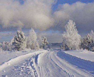 Посадковий календар на 2019 рік садівника і городника для Сибіру