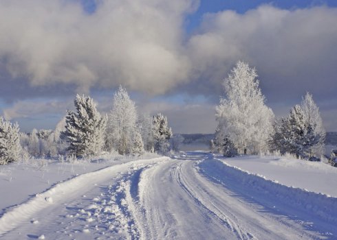 Посадковий календар на 2019 рік садівника і городника для Сибіру