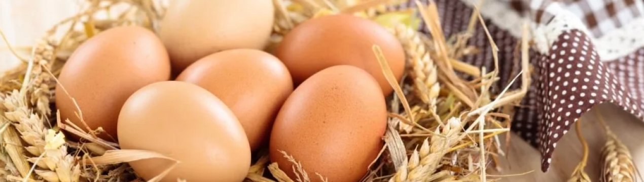 Найбільший південноамериканський виробник яєць став продавати веганські яйця