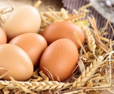 Найбільший південноамериканський виробник яєць став продавати веганські яйця