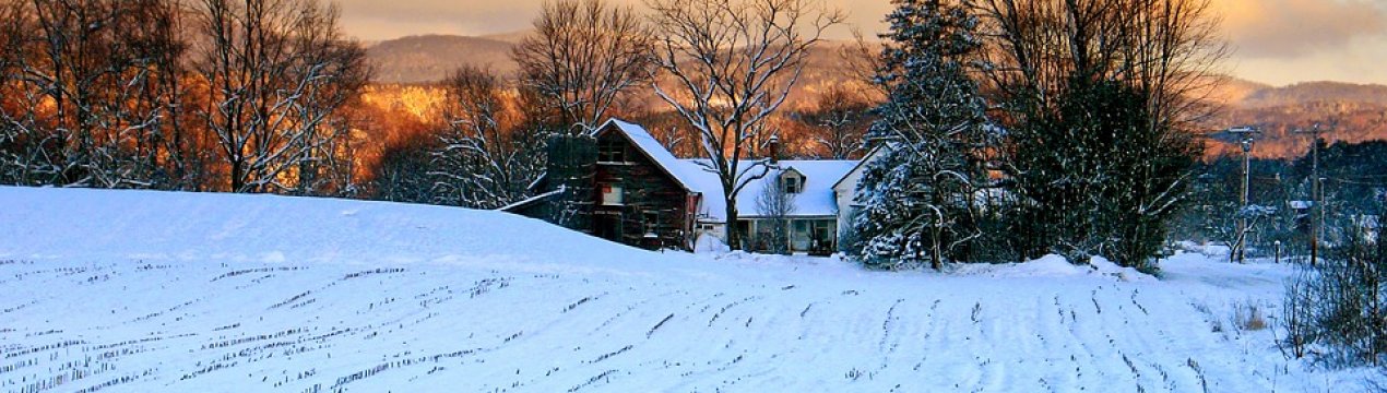 Як вплине на посіви випадання снігу в Україні
