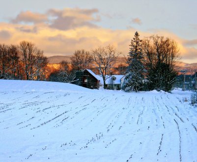 Як вплине на посіви випадання снігу в Україні