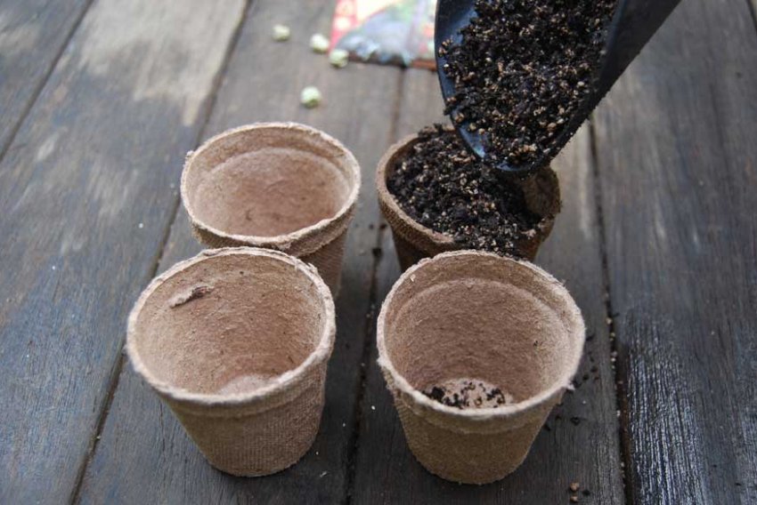 Ємність для вирощування