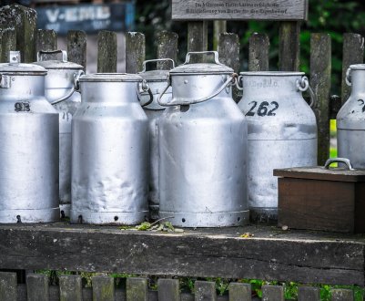 Переробні підприємства України стрімко знижують ціни на закупівлю молока