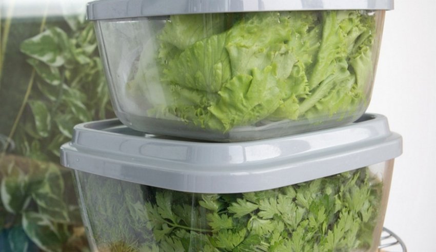 Хранение зелени в холодильнике