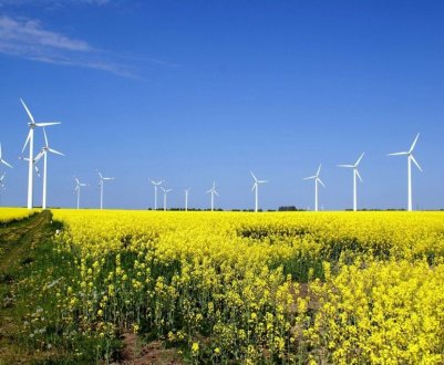 Французькі фермери стверджують, що вітряні турбіни і сонячні батареї вбивають їх худоба