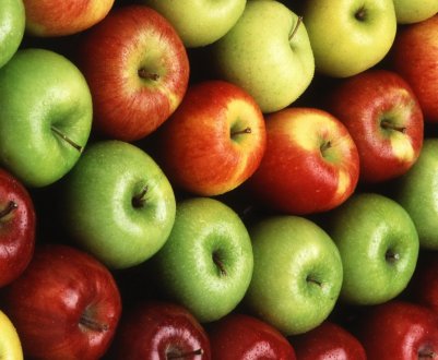 Сорти яблунь для Ленінградської області