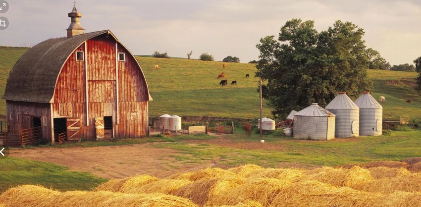 В Шотландії незважаючи на зростання доходів, фермерам не обійтися без субсидій
