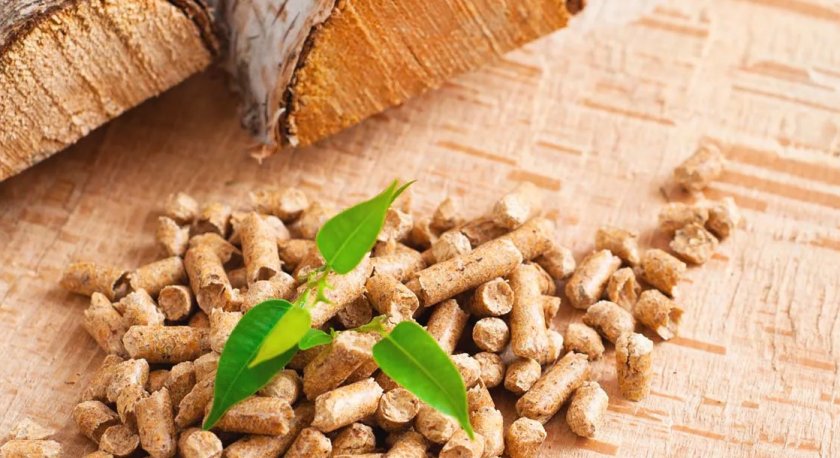 KSG Agro расширяет производство топливных пеллетов KSG Agro расширяет производство топливных пеллетов