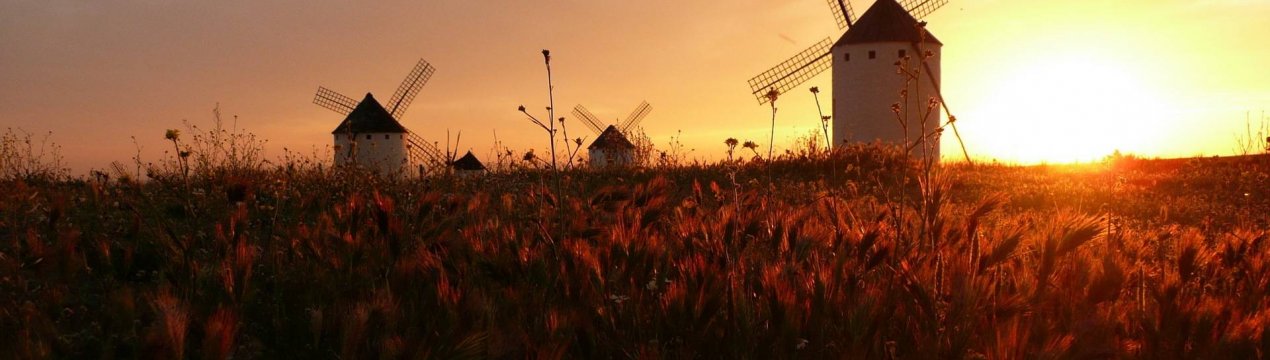 ЄС голосує за скасування переходу на літній час — що це означає для фермерів?