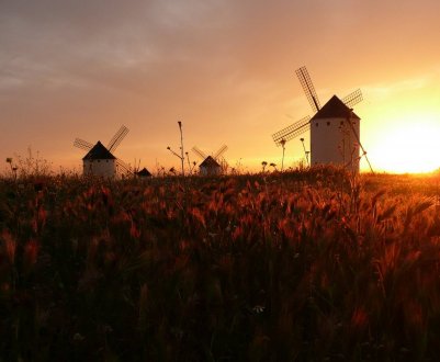 ЄС голосує за скасування переходу на літній час — що це означає для фермерів?