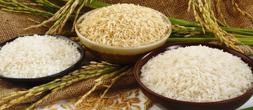 Без басматі експорт індійського рису зупинився