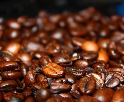 Низькі світові ціни несуть загрозу виробникам і майбутнім посівам кави