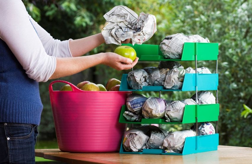 Зберігання зимових яблук