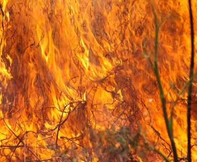 Штраф за спалювання листя і сухої трави в Україні може зрости до 40 тисяч гривень