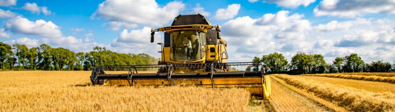 Ірландське зерно лежить в коморах, зате імпорт — на рекордному рівні